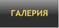 ГАЛЕРИЯ