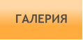 ГАЛЕРИЯ